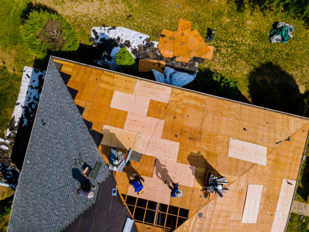 Best Storm Damage Roof Repair  in Hayneville, AL